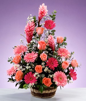 Envio y venta de flores ,rosas, plantas,arreglos florales ,regalos y desayunos a domicilio con delivery gratis en la Ciudad Autonoma de Buenos Aires y con costo de env�o en localidades del Gran Buenos Aires asi como delivery de flores y plantas a trav�s de florerias asociadas en todas las provincias de la Argentina, Buenos Aires, la Pampa, Tucuman, La Rioja, R�o Negro, Entre Rios, Corrientes, Misiones, Neuquen, Chubut, Tierra del Fuego, Santa Cruz, San Luis, Mendoza, Cordoba, Jujuy, Formosa, Santiago del Estero, Salta, Chaco, Catamarca ,San Juan, y ademas realizamos el delivery de flores ,coronas,palmas , plantas y regalos a todas las ciudades de Argentina, Mar del Plata, C�rdoba, Buenos Aires, con cargo en Santa Rosa, La Plata, Bella Vista, Neuquen, Pilar, Paran�, Posadas, Resistencia, Cipolleti y mas de 300 ciudades y localidades en todo el territorio de nuestro pa�s, asi como tambien tenemos la posibilidad de enviar flores a casi todo el mundo en cuestion de horas